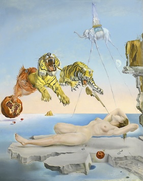 Dream Caused by a Bee by Salvador Dalí