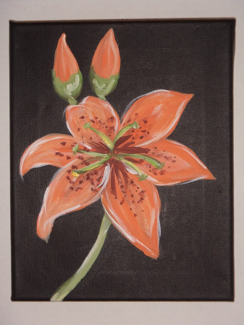 Orange Day Lily 8x10